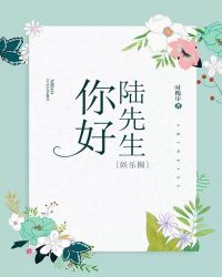 你好，陆先生